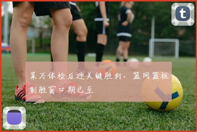 莱万体检后迎关键胜利,篮网篮板制